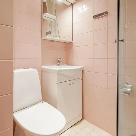 Old Town 1br Aia 5a 塔林